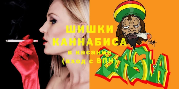 прущие грибы Абинск