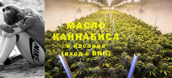 крисы Алексин